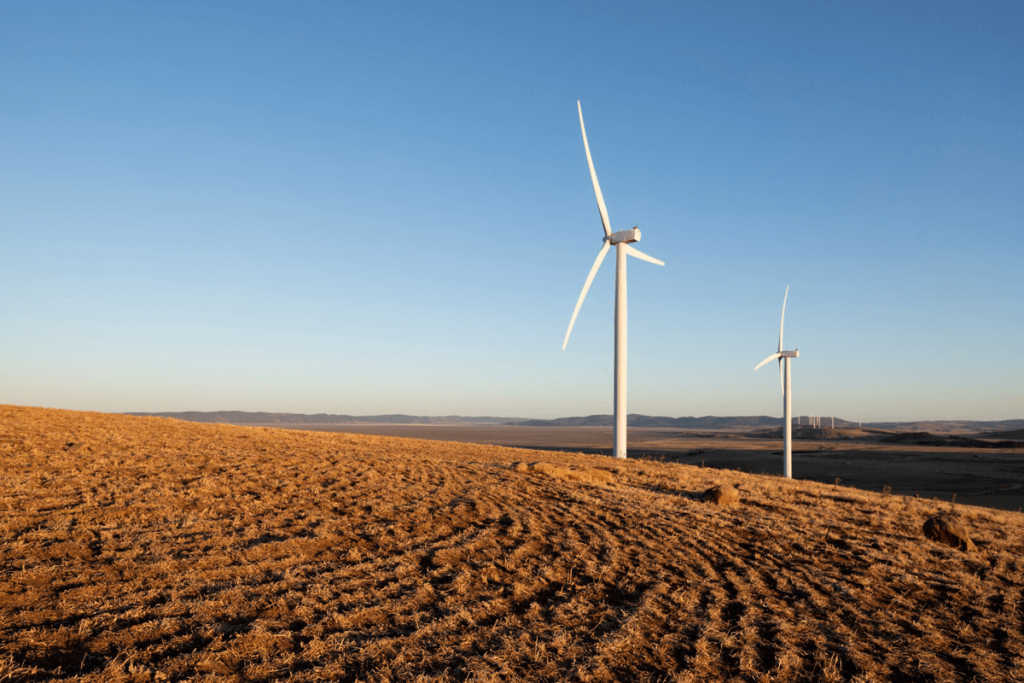 WWF-Submissions-Report-and-Amendment