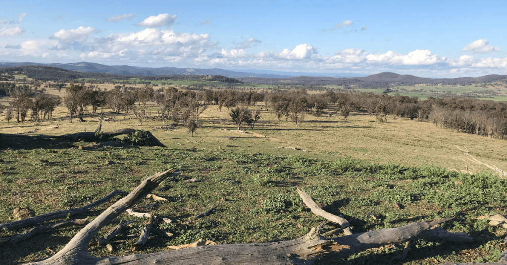 Amendment Report exhibition results