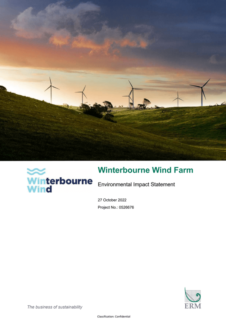 Environmental Impact Statement