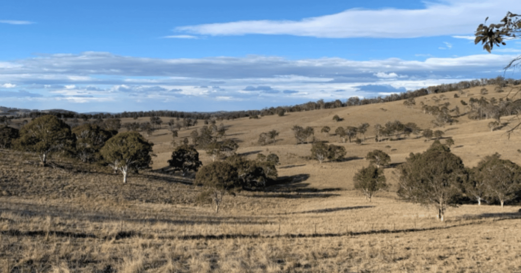 Submissions Report No. 2 now lodged with DPHI